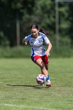 Bild 194 - wBJ Hamburger SV - VfL Wolfsburg : Ergebnis: 5:1